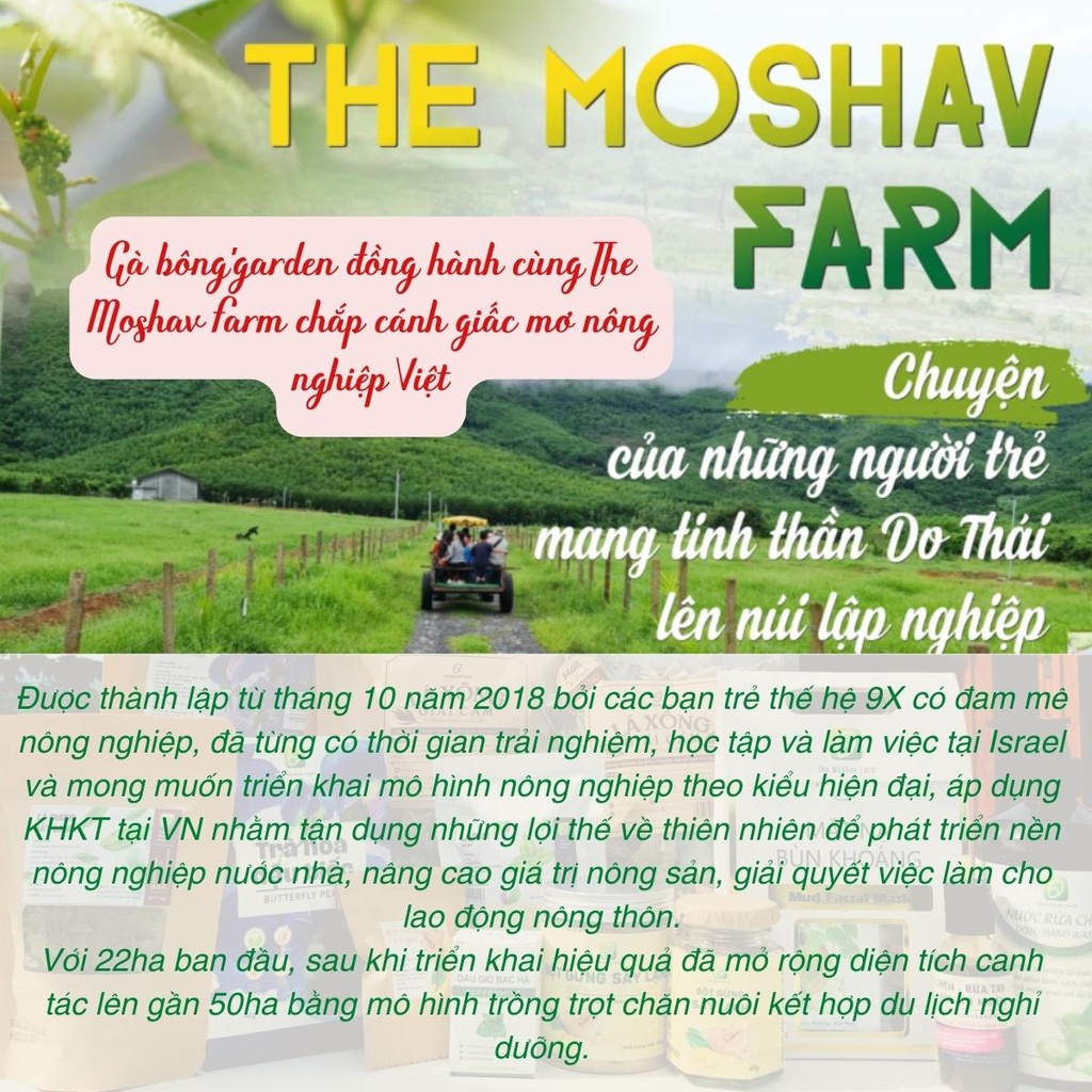 Lá Xông Giải Cảm The Moshav Farm Tăng Đề Kháng, Gói Xông Thảo Dược Sấy Khô Thải Độc 100g