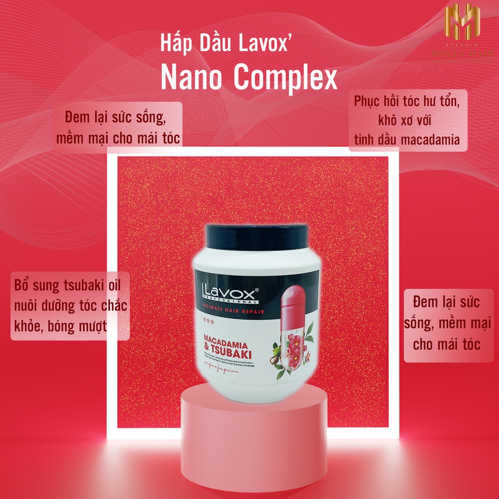 Hấp dầu phục hồi tóc cao cấp Mollyhair thương hiệu Lavox,phục hồi tóc hư tổn với tinh dầu Macadamia Và Tsubaki Oil 500ml