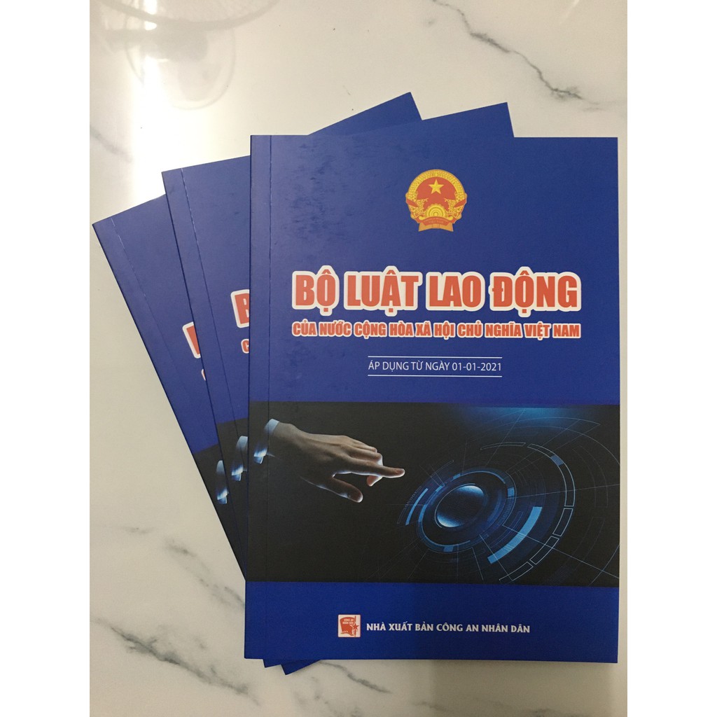 Sách - Bộ Luật Lao Động Của Nước Cộng Hòa Xã Hội Chủ Nghĩa Việt Nam | BigBuy360 - bigbuy360.vn