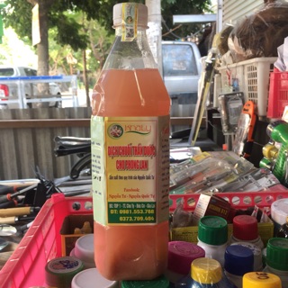 Dịch chuối Thần dược cho Phong lan