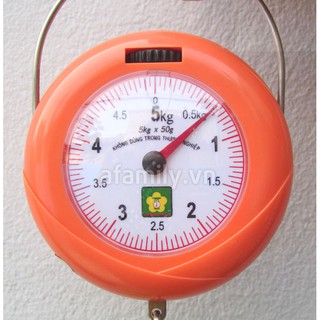 - Cân treo mini Nhơn Hoà 5kg