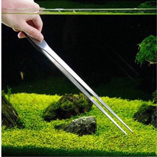 Nhíp trồng cây thuỷ sinh