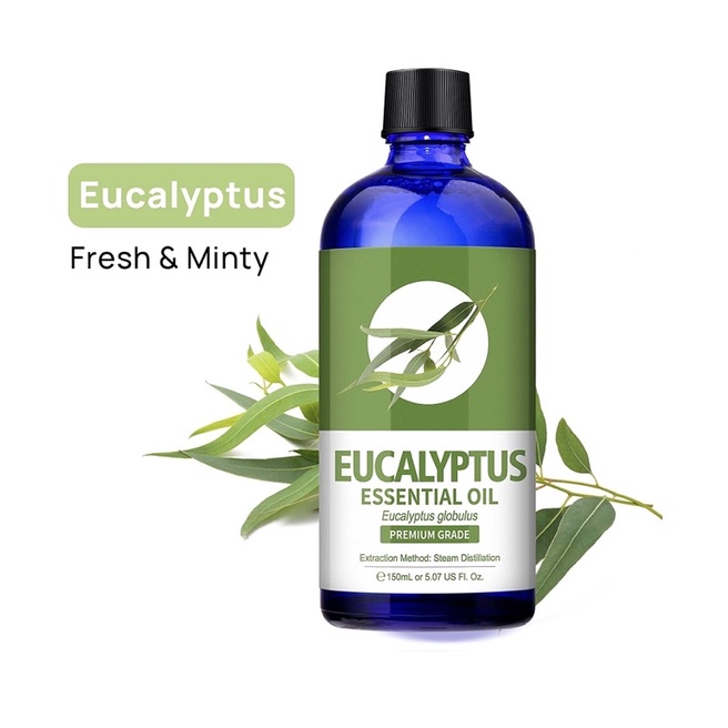 Tinh dầu khuynh diệp hữu cơ Organic Lagunamoon Eucalyptus Essential Oil 150ml USA