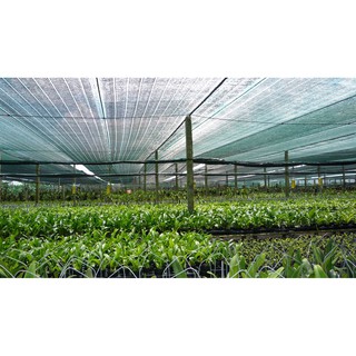 Lưới Che Nắng Khổ 2m x 5m