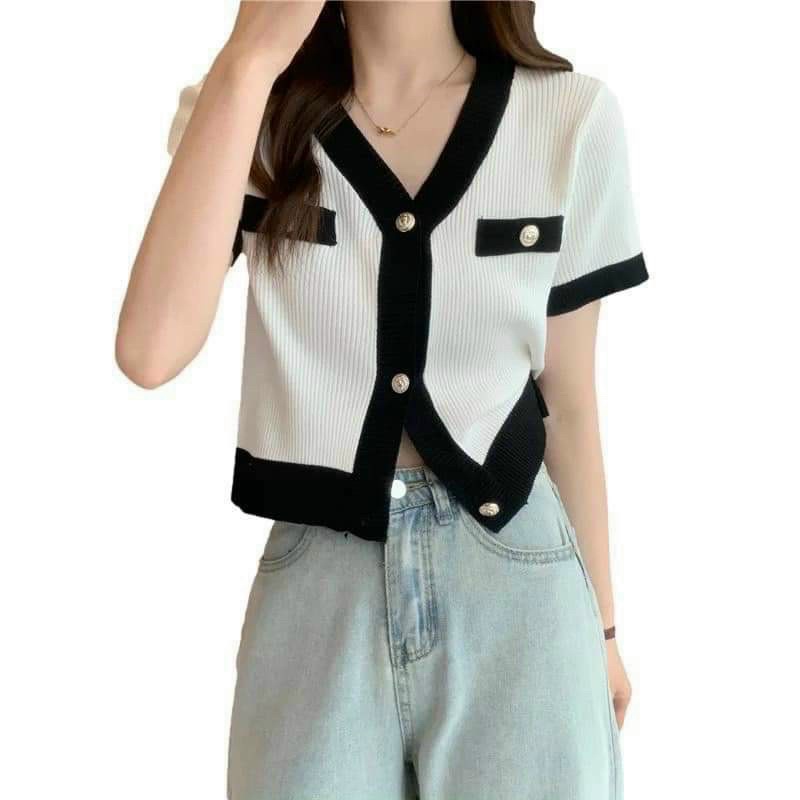 Áo thun gân cổ V chạy viền ☘️☘️☘️☘️SL alohashop91