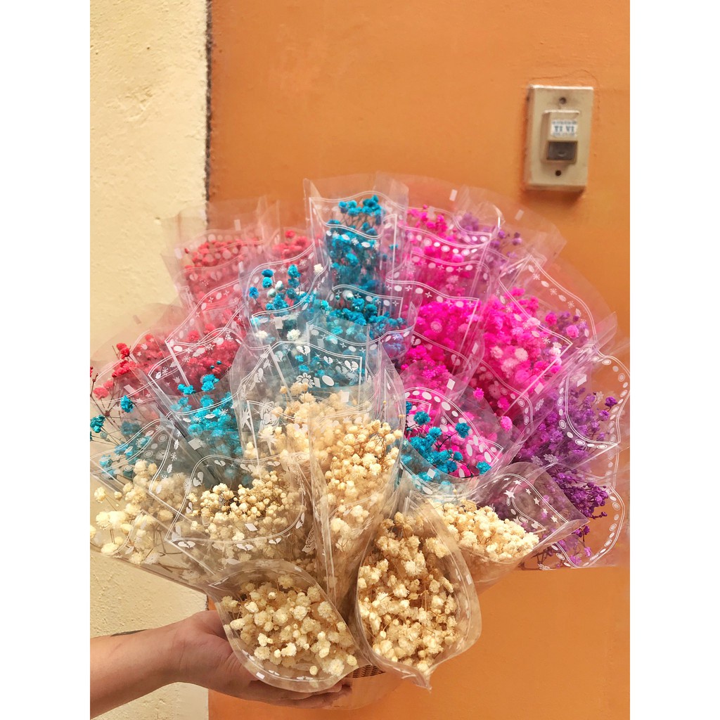 Gypsophila🌸Hoa Baby Khô🌸FREE SHIP🌸Trang trí nhà cửa, events siêu xinh