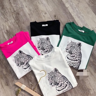 Áo Thun Cotton Nhiều Mẫu CuTe