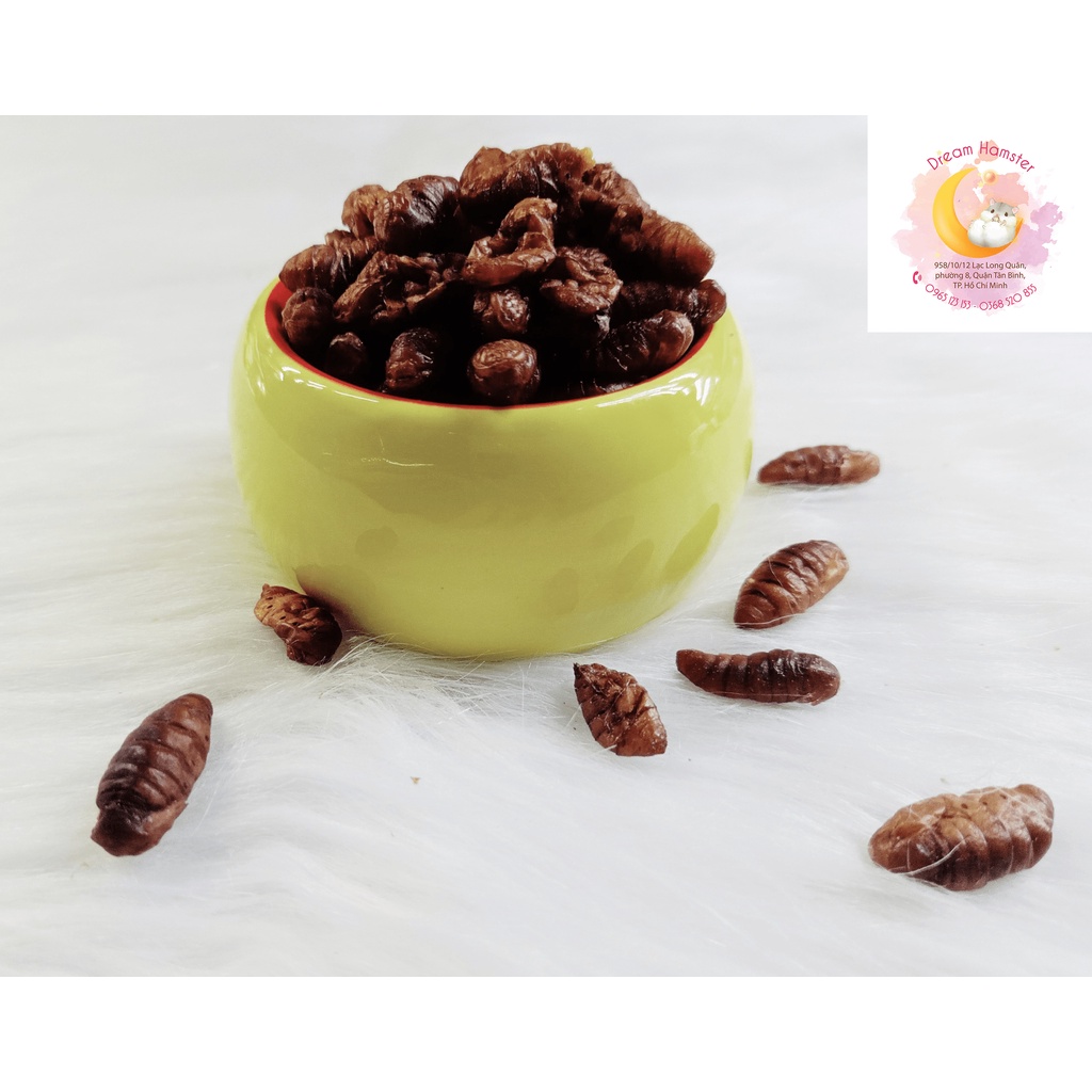 Nhộng tằm sấy cho Hamster