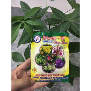 Phân bón River K siêu thúc bật mầm hoa