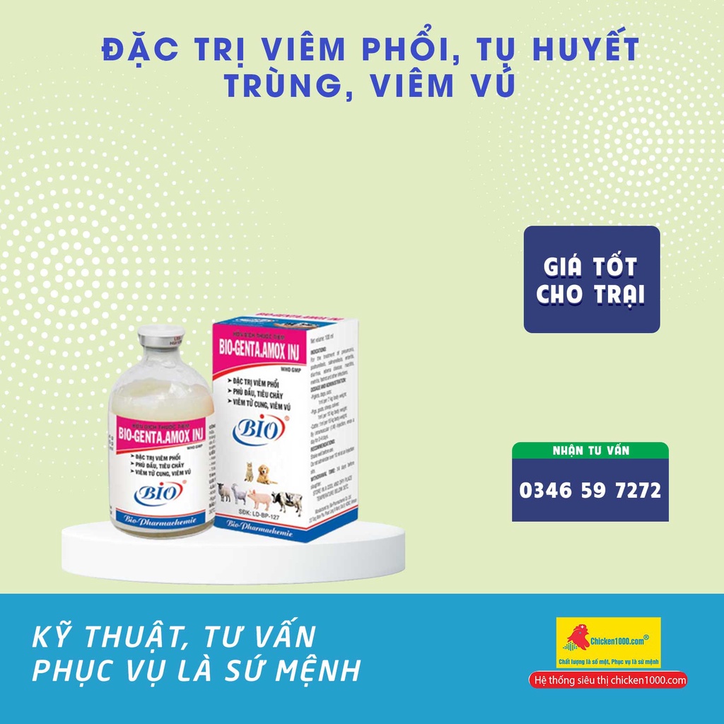 Thú Y Genta Amox INJ Dùng Cho Vật Nuôi Chó, Mèo, Heo, Bò, Viêm Ruột, Tiêu Chảy
