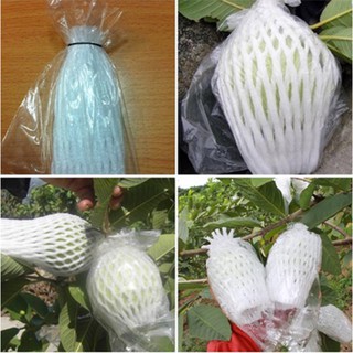 300 Bao Bọc Ổi, Lê,Táo....Loại 1