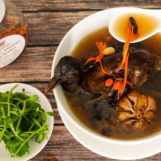 Đông Trùng Hạ Thảo