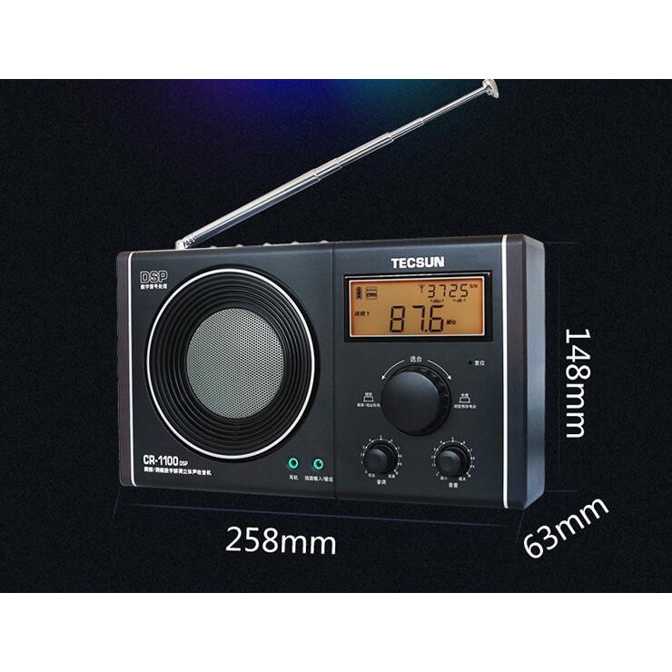 ĐÀI RADIO KỸ THUẬT SỐ CỠ LỚN TECSUN CR-1100