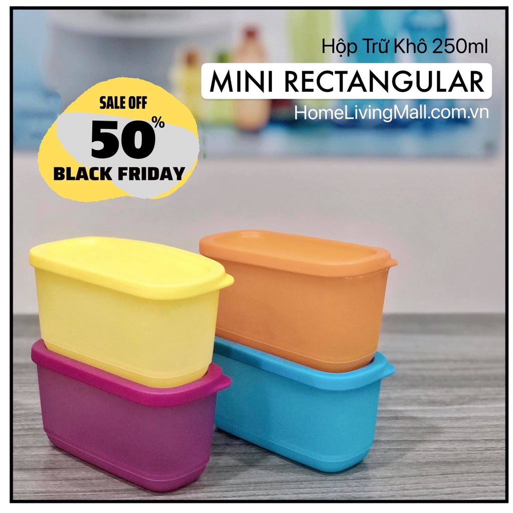 BỘ HỘP TRỮ MÁT VÀ KHÔ MINI RECTANGULAR (4)