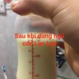 Ngũ Cốc Lợi Sữa Đặc Biệt Lạc Lạc