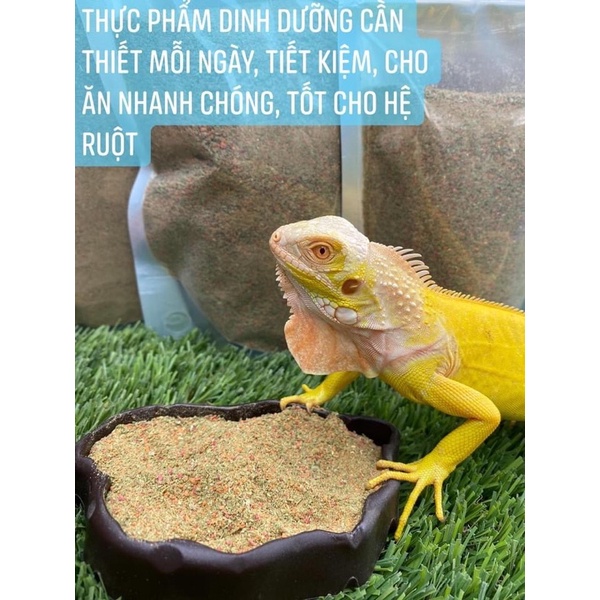 THỨC ĂN JAPTOR FOOD BỘT KHÔ DINH DƯỠNG CỦA Rồng Nam Mỹ IGUANA, RÙA CẠN SULCATA, RỒNG ÚC, BÒ SÁT NÓI CHUNG + Men vi sinh.