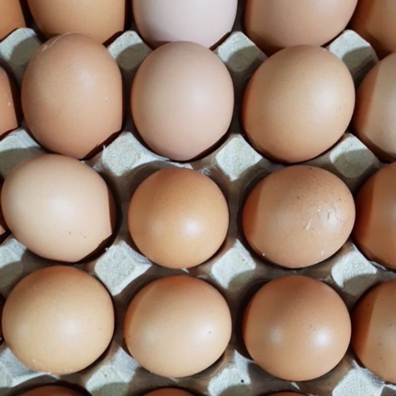 Trứng gà ta, trứng vịt đồng ở quê (10 qủa)