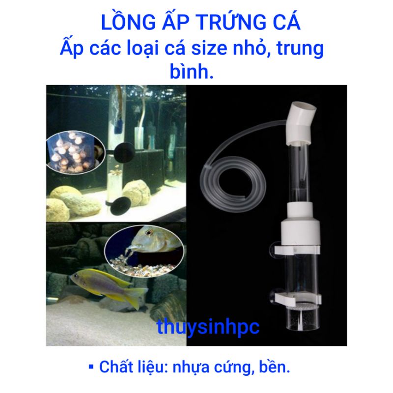Lồng ấp trứng cá ali và các loại cá dòng Cichlids