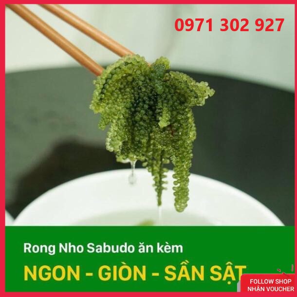 [RONG NHO SẠCH] Rong Nho| Rong Biển Tách Nước Sabudo và Umibudo Gói 20g Tặng Kèm Sốt Mè Rang
