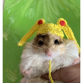 Nón cho hamster đồng giá 25 xu