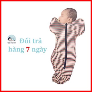 Nhộng chũn cocon Nhộng chũn cocon Nhộng chũn cocon