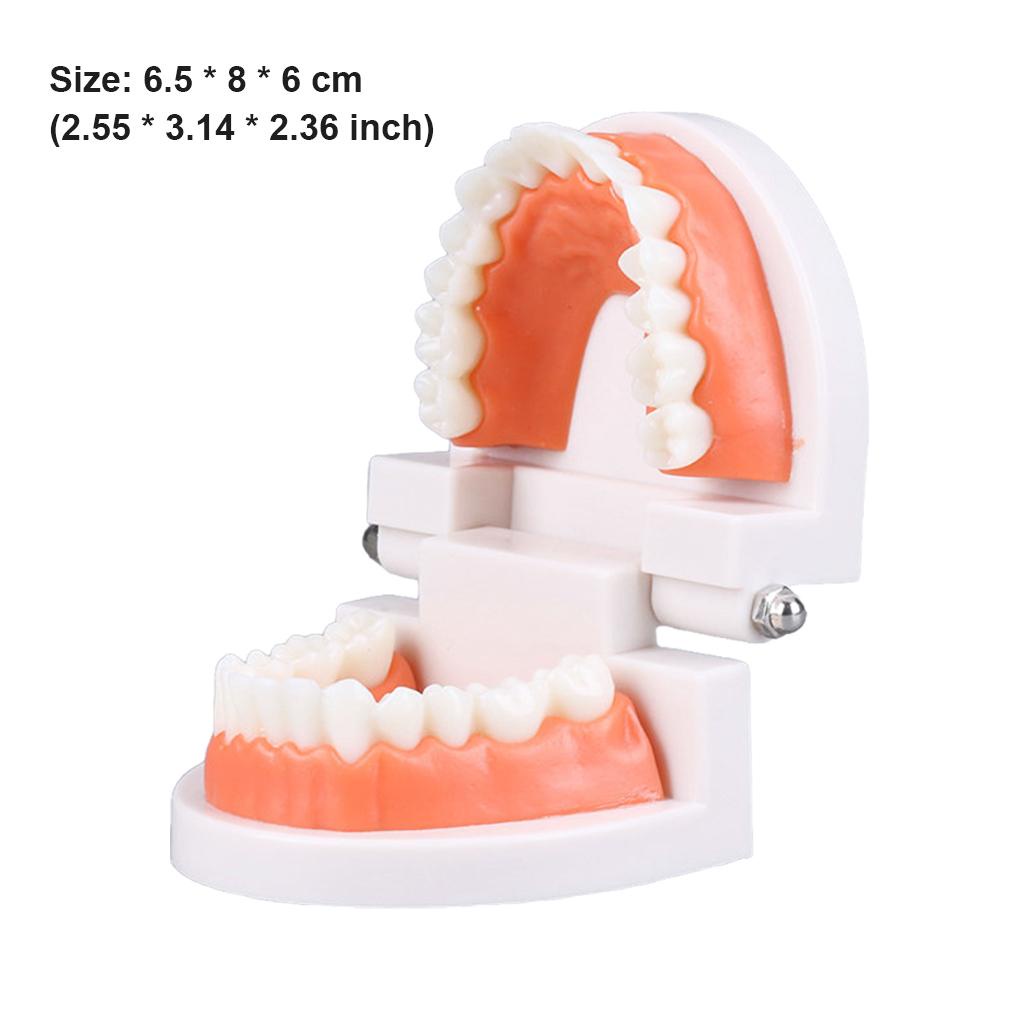 Đồ Chơi Bàn Chải Đánh Răng Hỗ Trợ Dạy Học Cho Bé