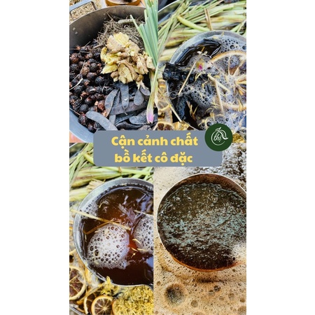 Dầu gội bồ kết thảo dược cô đặc sạch gàu mọc tóc, chống rụng tóc, hết nấm ngứa da đầu - Handmade từ Thị ☘️ | BigBuy360 - bigbuy360.vn