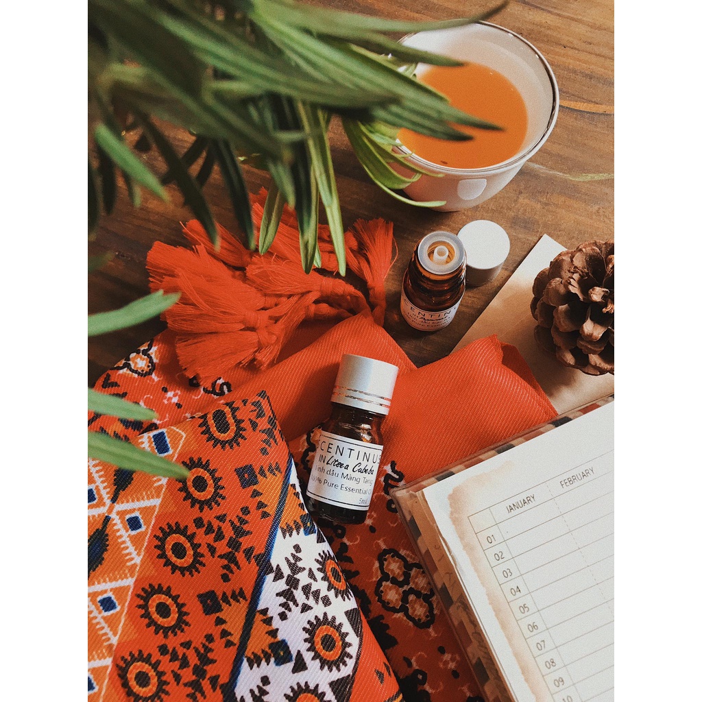 TINH DẦU MÀNG TANG