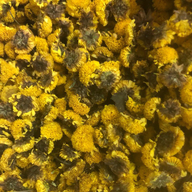 Set Trà Hoa Cúc Chi - Trà Hoa Cúc Táo Đỏ Long Nhãn Kỳ Tử | BigBuy360 - bigbuy360.vn