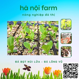 Đá bọt núi lửa, Đá lông vũ  - Đá giữ ẩm size 1-2 - túi 5dm