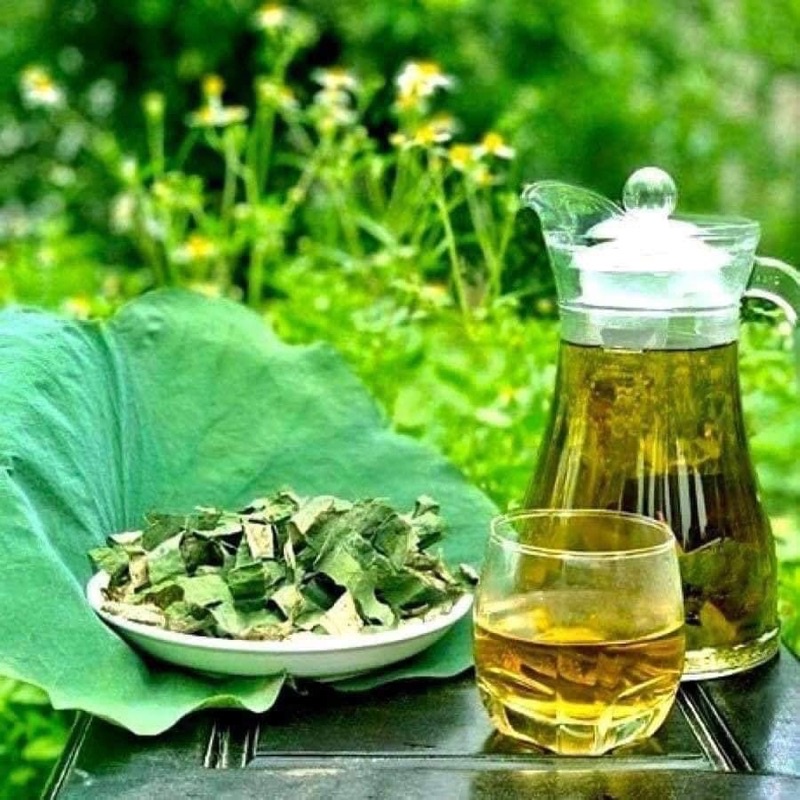 Lá sen khô 1 kg siêu to đùng uống giảm cân, giảm mỡ máu