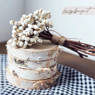 Bó hoa bạch quả khô ❤️FREESHIP❤️ Cắm hoa trang trí nhà cửa - Phụ kiện chụp ảnh