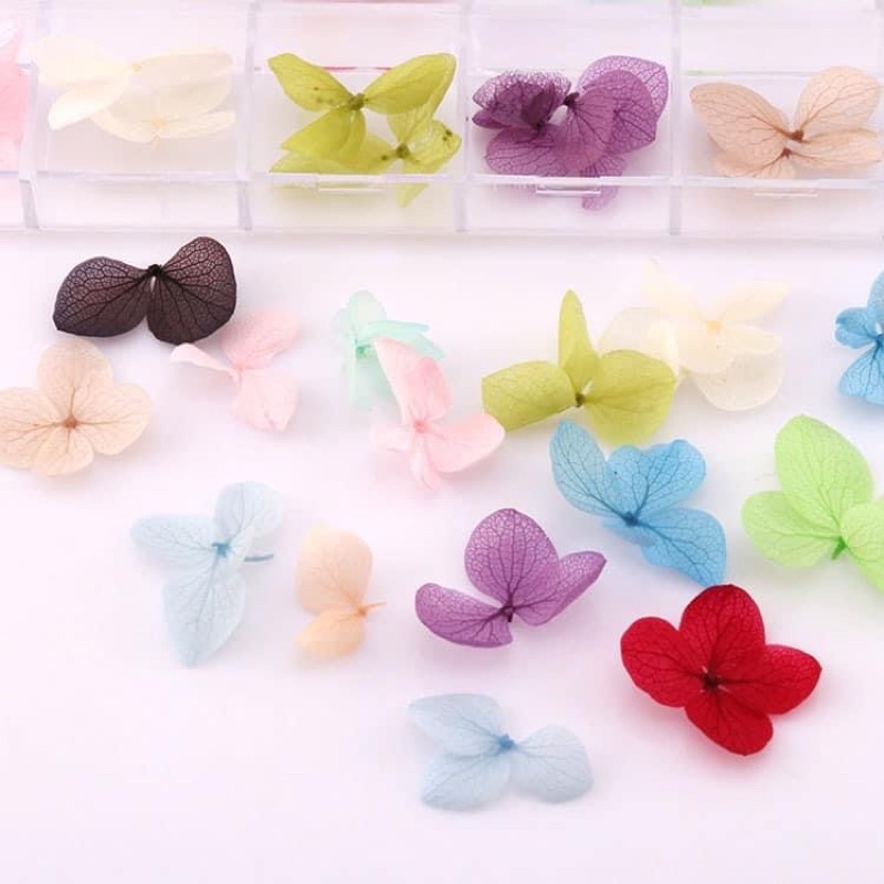 Hoa Khô Ẩn Gel , Hoa Khô Làm Nai, Hoa Khô Trang Trí