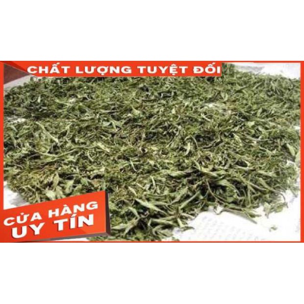 500g Cỏ ngọt sấy khô chữa tiểu đường, huyết áp cao