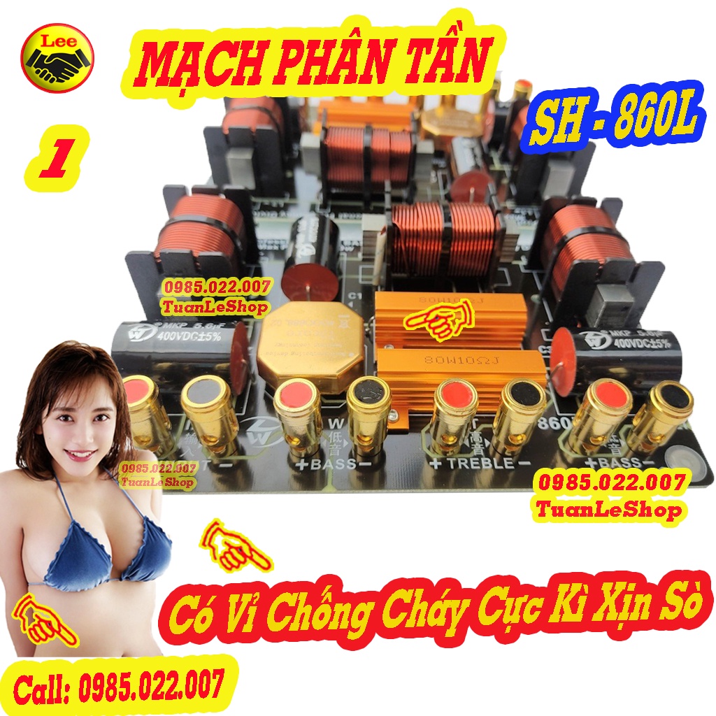MẠCH FULL ĐÔI CÔNG SUẤT LỚN, MACH LOA CHỐNG CHÁY TREBLE 750 - 2 BASS + 1 TREP  SH - 860L GIÁ 01 MẠCH