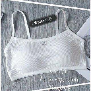ÁO LÓT LÁ HỌC SINH