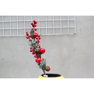 Phụ kiện trang trí Noel- Cành táo trang trí Noel và vòng nguyệt quế