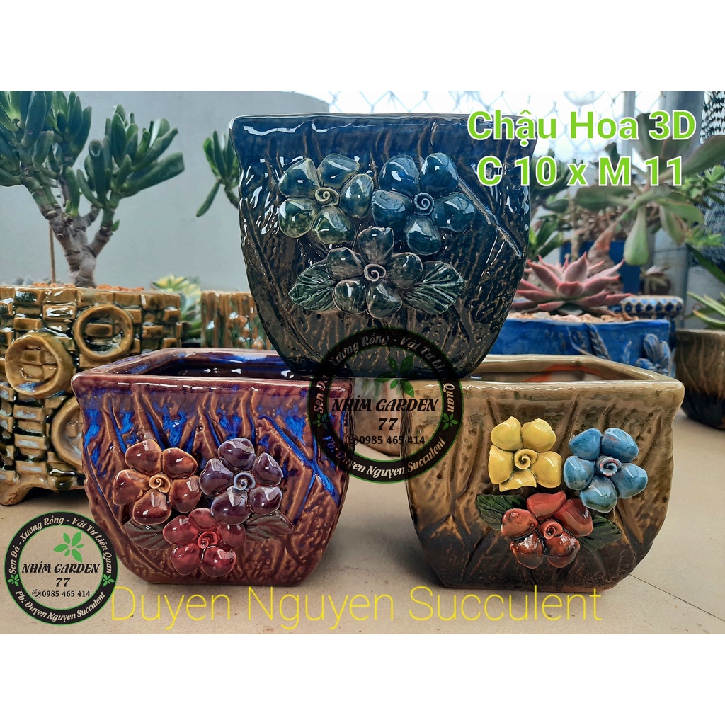 Chậu Lỗi - Chậu vuông hoa 3D trồng sen đá. Kiểu mẫu chậu Hàn Quốc. Kích thước Cao 10cmx miệng rộng 11cm
