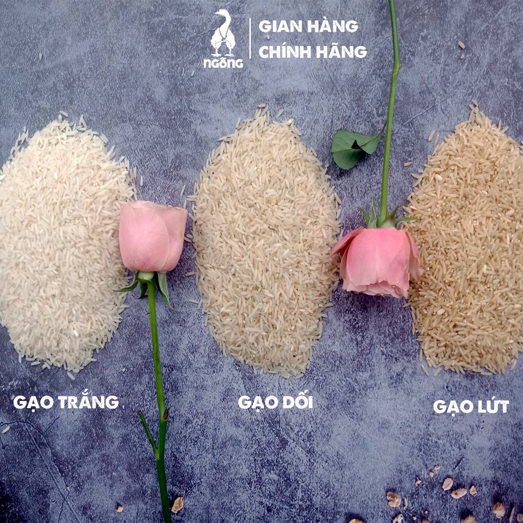 Gạo Ngỗng ST25_Gạo sạch ruộng rươi | BigBuy360 - bigbuy360.vn