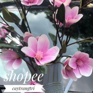 🌸 Hoa Mộc Lan Cao Su Trang Trí