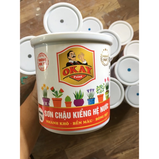 Sơn Chậu Kiểng Hệ Nước Okay Paint 1kg