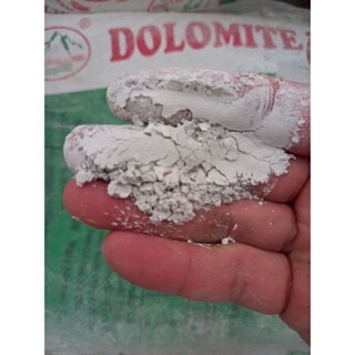Vôi dolomite _ xử lý nước nuôi ốc bươu đen