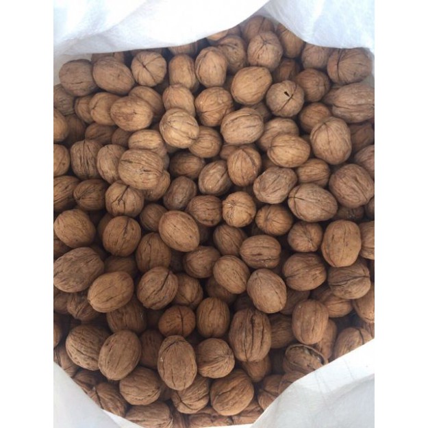 Quả Óc Chó Mỹ Loại 1 500G Nhập Khẩu 💝FREE SHIP💝 Quả Óc Chó Cho Bà Bầu Nhập Khẩu USA Có Kèm Dụng Cụ Tách Vỏ Date Mới | BigBuy360 - bigbuy360.vn