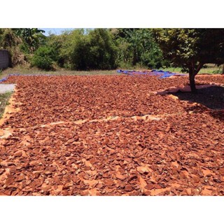 Huyết đằng - Cỏ máu phơi khô nguyên chất 1 Kg