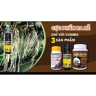 Combo ra rễ cực rễ