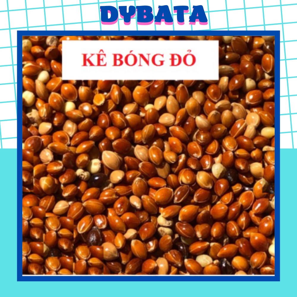 1KG HẠT KÊ BÓNG ĐỎ  CHO CHIM CẢNH, VẸT, YẾN PHỤNG