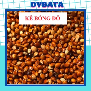 1kg hạt kê bóng đỏ cho chim cảnh, vẹt, yến phụng