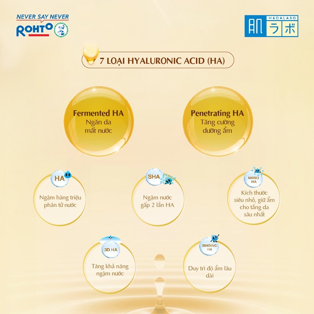 Dung Dịch Dưỡng Ẩm Da Hada Labo Premium Gokujyun Lotion 170ml