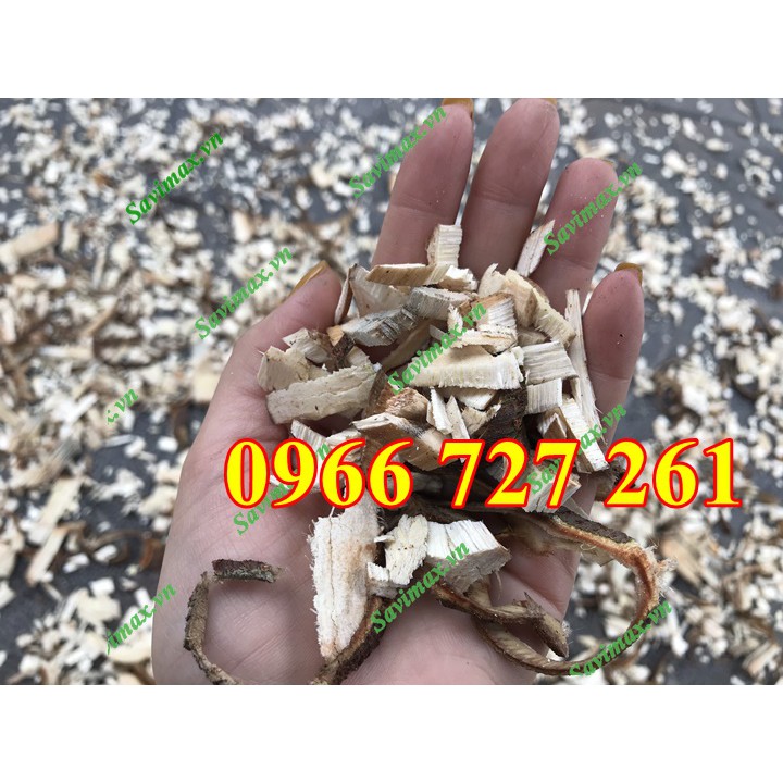 Máy băm cành cây , lá cây, máy băm mùn cưa di động Savimax - Savi MT70