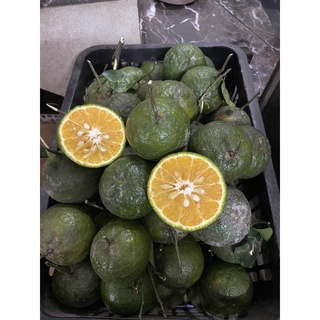 Cam sành (1kg) giao hoả tốc tại TP.HCM.